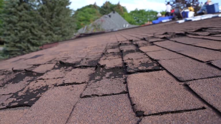 Roof Insulation in San Antonio Heights, CA